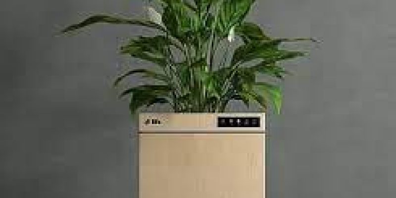 IIT Ropar develop’s world’s first ‘Plant based’ smart air-purifier