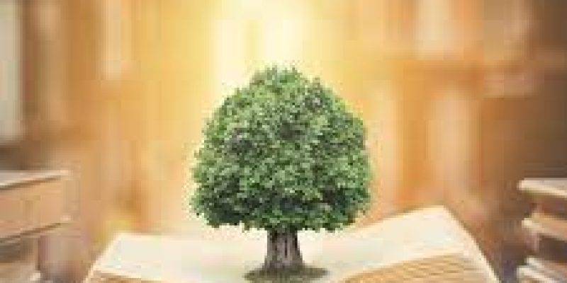 World Philosophy Day 2021: 18 November (Third Thursday of November)