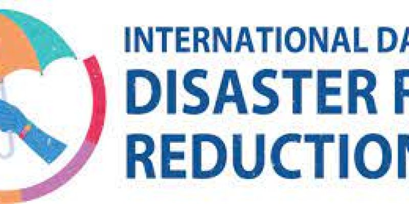 International Day for Disaster Risk Reduction 2023: Date, Theme, History and Significance