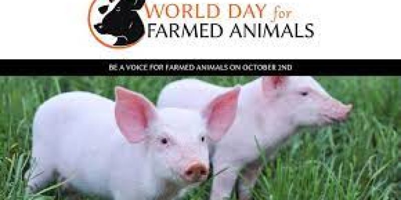 World Day for Farmed Animals: 02 October