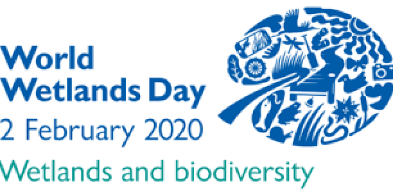 World Wetlands Day: 02 February