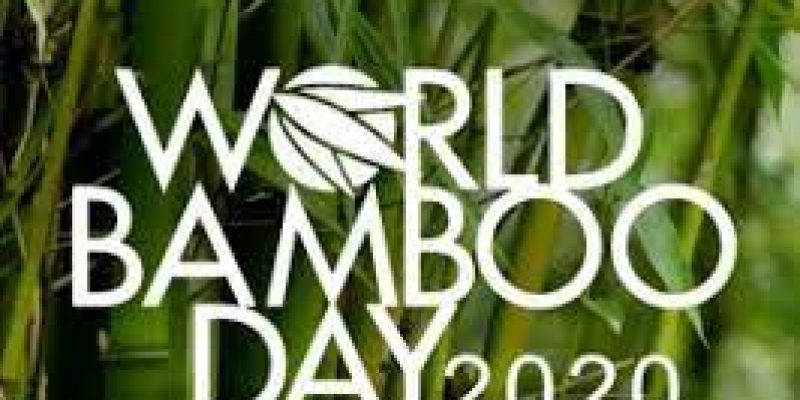 World Bamboo Day: 18 September