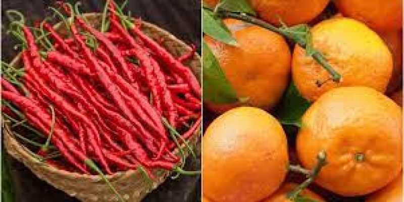 Sirarakhong Chilli and Tamenglong Orange (Manipur) gets GI tag