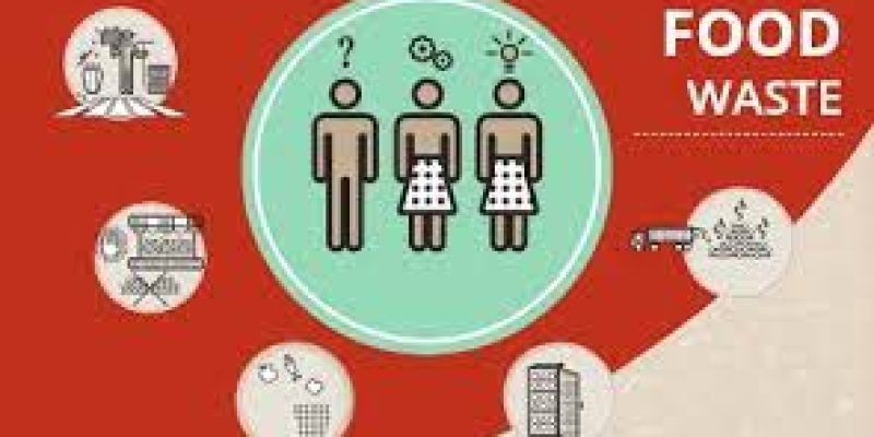 International Day of Awareness of Food Loss and Waste: 29 September