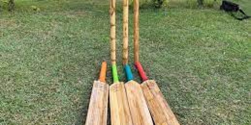 Tripura develops country’s ‘first-ever’ bamboo made cricket bat, stumps