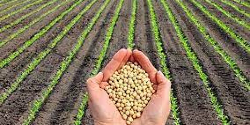 FICCI to hold virtual agriculture summit on Nov 17-18