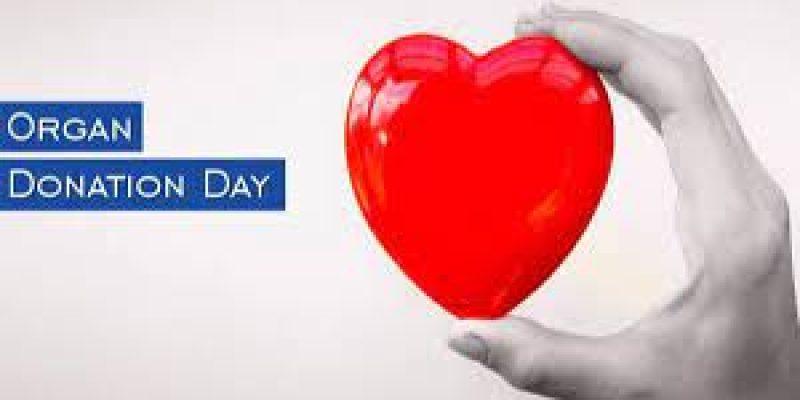 National Organ Donation Day: 27 November