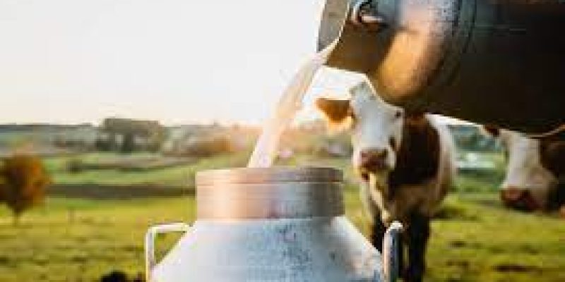 Uttarakhand CM Pushkar Singh Dhami launched ‘Milk Price Incentive Scheme’