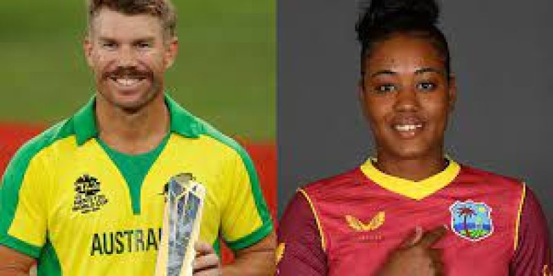 David Warner & Hayley Matthews Bags ICC Player Of The Month For November