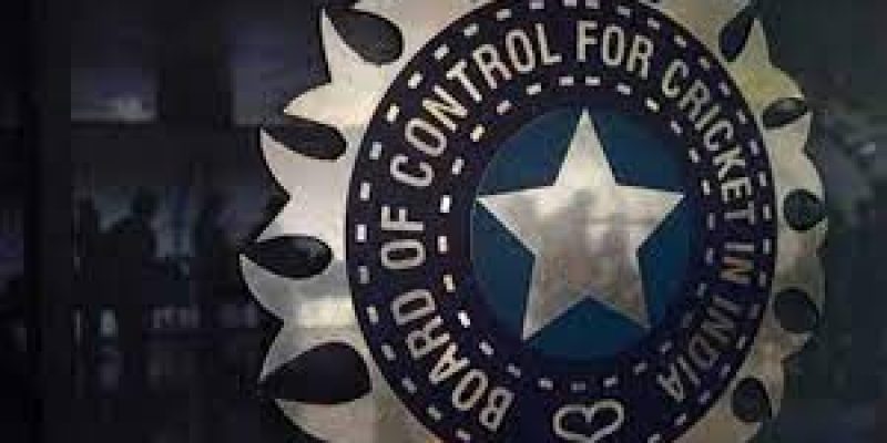 BCCI forms committee for differently abled cricketers