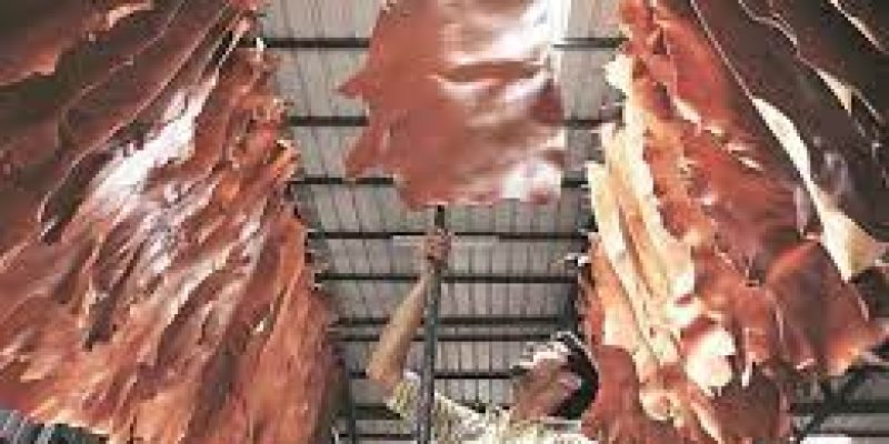 Leather, footwear exports to reach $6 billion in 2022-23: CLE