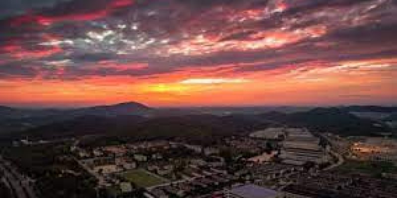 WEF signs MoU with NIUA to collaborate on ‘Sustainable Cities India program’