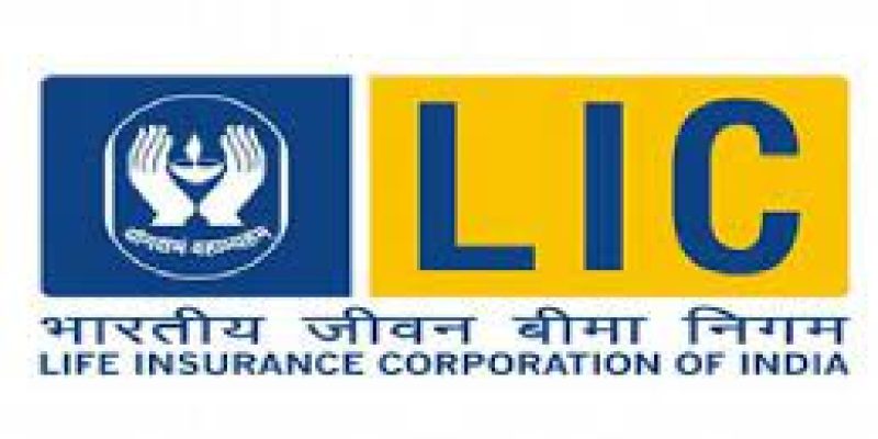 Govt approves 20% FDI in LIC via automatic route