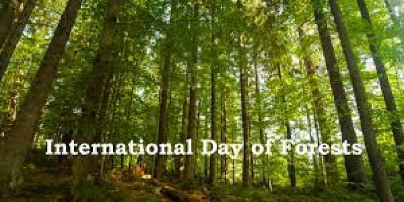 International Day of Forests 2022: 21 March