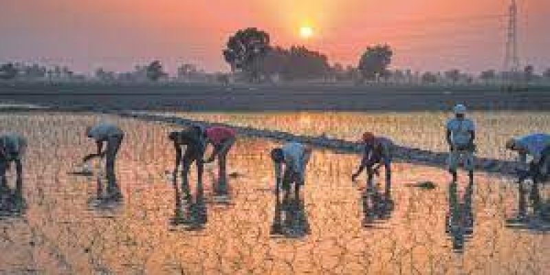 India’s agriculture exports cross $50 billion in 2021-22