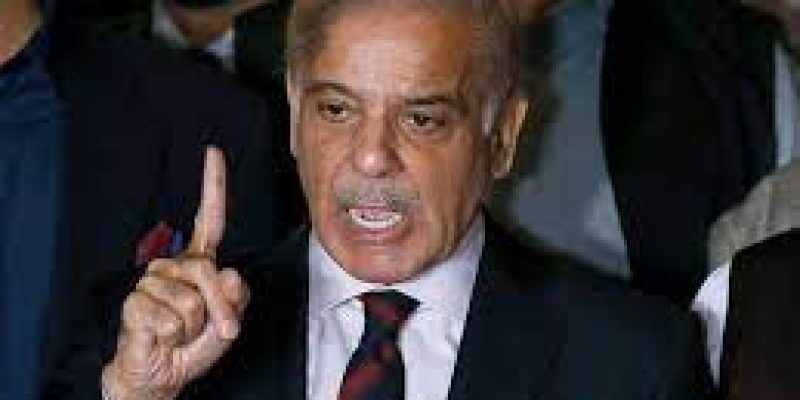 Shehbaz Sharif elected as 23rd Prime Minister of Pakistan