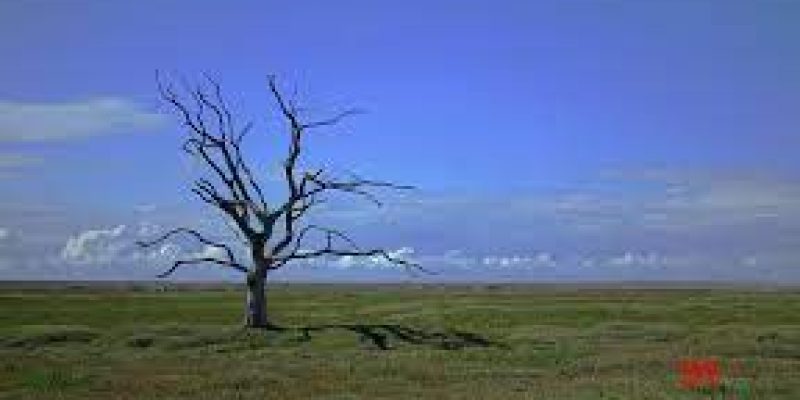 UNDP & AIM announces $2.2 million in climate action grants for innovators across 19 countries