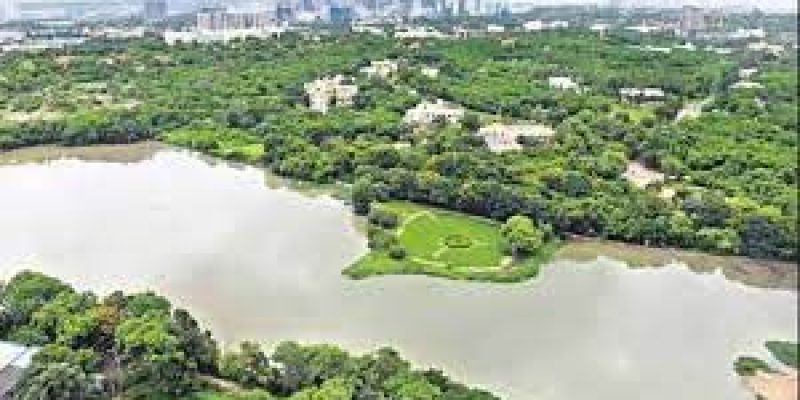 Mumbai and Hyderabad recognised as ‘2021 Tree City of the World’ by UN-FAO