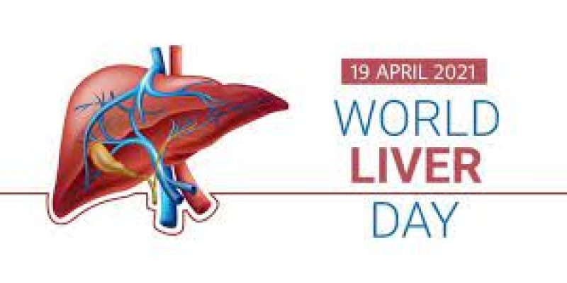 World Liver Day 2022: 19 April
