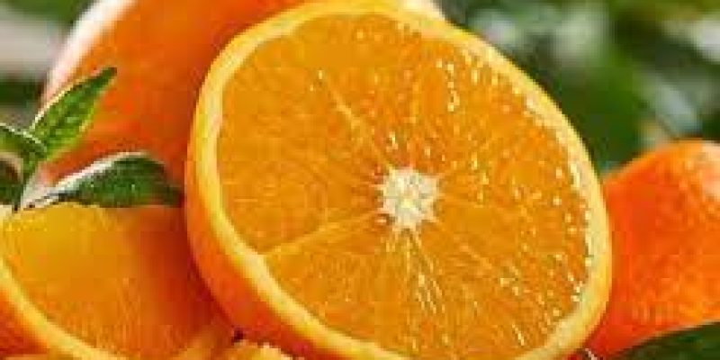 Chhindwara oranges will be recognised as Satpura