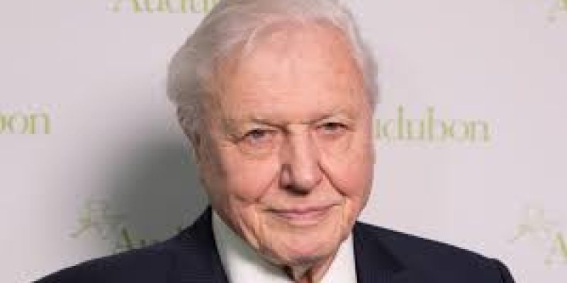 Sir David Attenborough earns UN ‘Champion of the Earth Lifetime Achievement award’