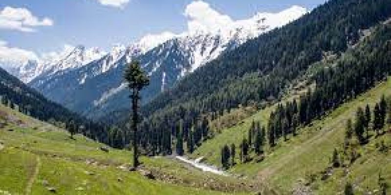 ABPMJAY- SEHAT scheme: Samba becomes 1st district to cover 100% households