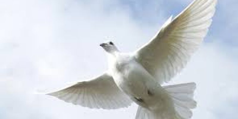 Time of Remembrance and Reconciliation for Those Who Lost Their Lives during the Second World War