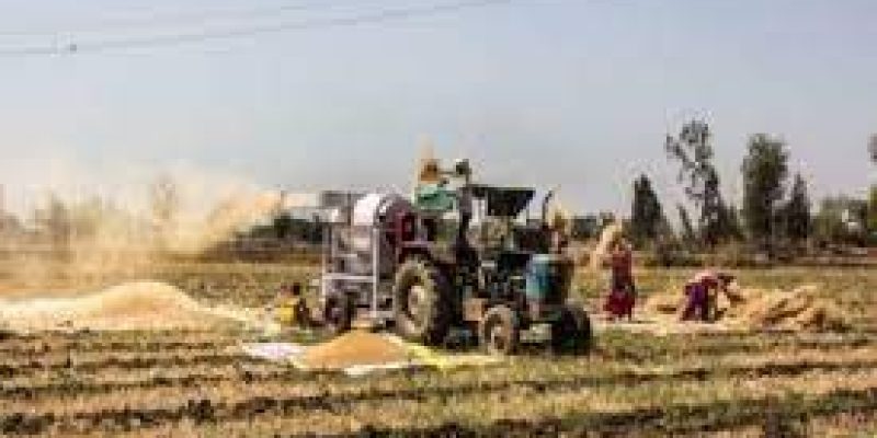 Haryana launched ‘Chaara-Bijaee Yojana’ for fodder cultivating farmers