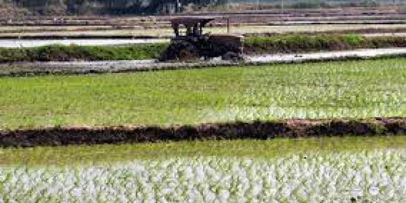 Tamil Nadu government launches integrated agri-development scheme