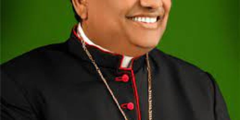 Pope Francis elevates archbishops of Goa and Hyderabad to cardinal rank