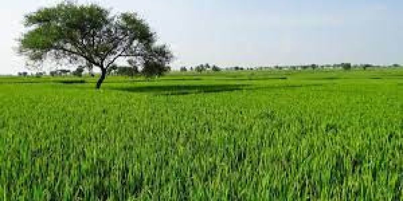 In a first, IIM-Ahmedabad brings out agriculture land price index