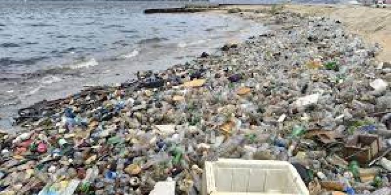 OECD projected the Global plastic waste to be tripled by 2060