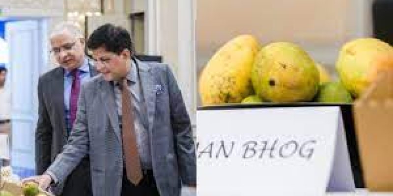 Union Minister Piyush Goyal inaugurates Mango Festival in Belgium