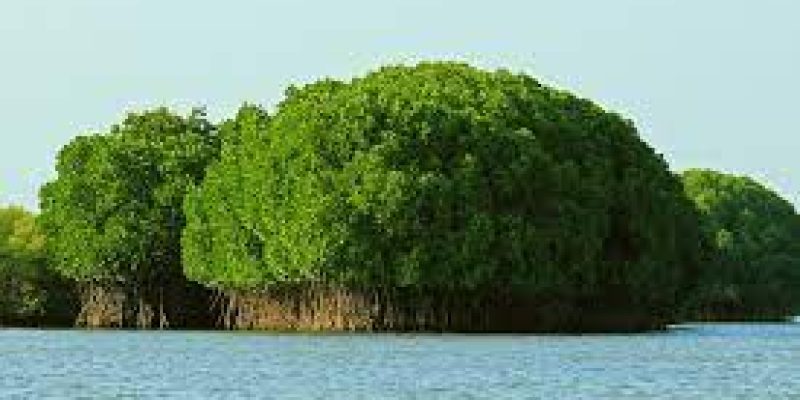 The Ramsar sites of India increases to 54, five new sites added