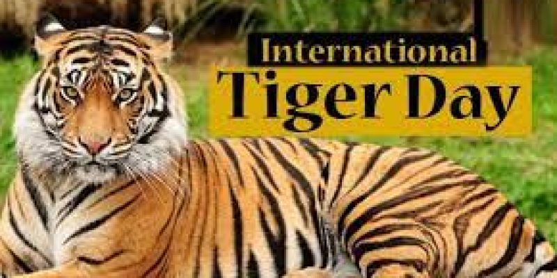 International Tiger Day 2022 observed globally on 29 July