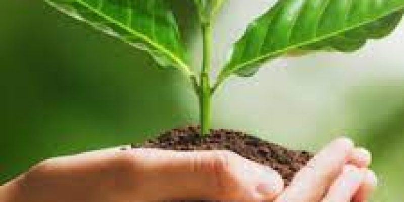 World Nature Conservation Day 2022 celebrates globally