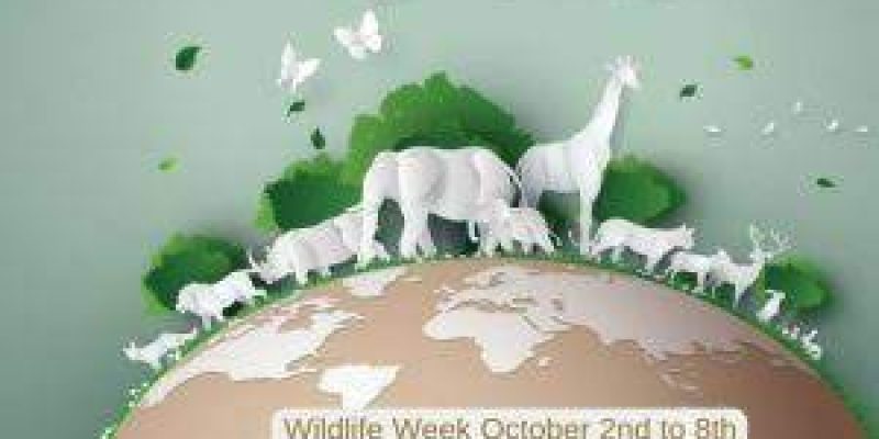 67th National Wildlife Week: 02 to 08 October 2021