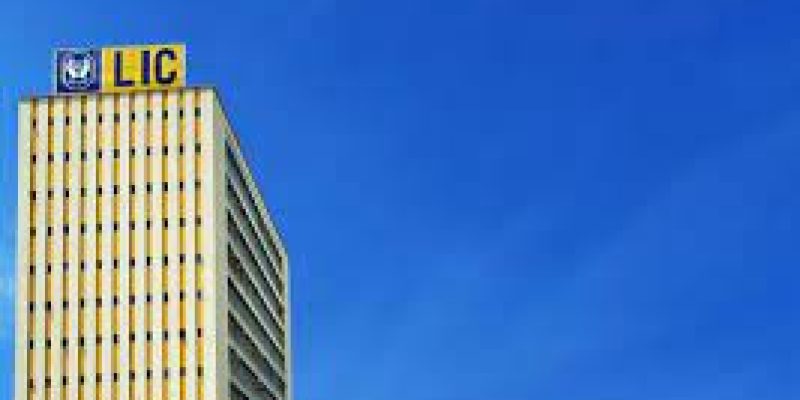 Govt appoints 10 merchant bankers for managing IPO of LIC