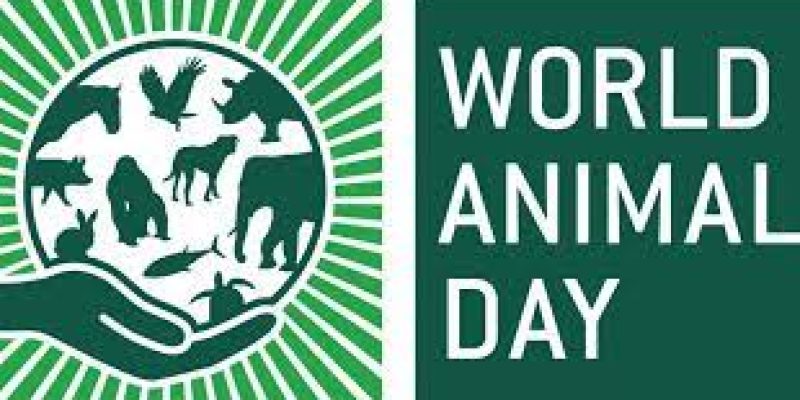 World Animal Day: 04 October