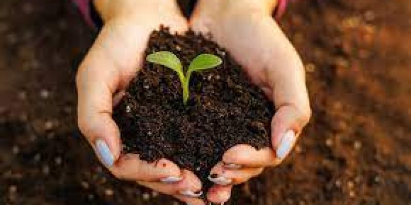 World Soil Day 2023 Observed on 5 December