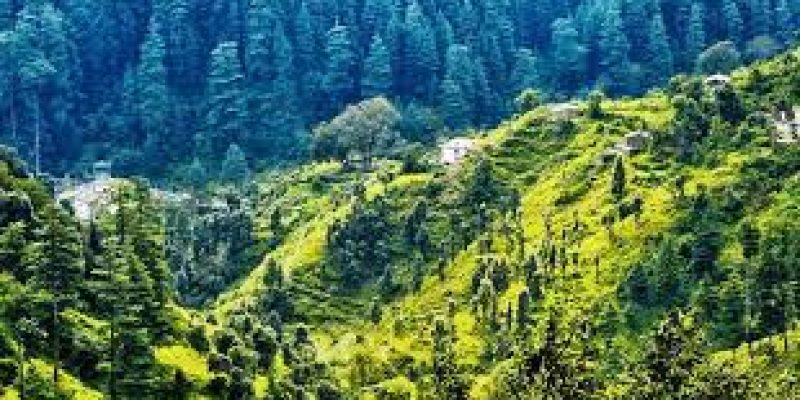 India’s first ‘Grass Conservatory’ inaugurated in Uttarakhand’s Ranikhet