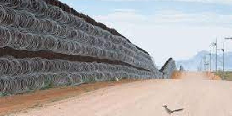 Alejandro Prieto wins Bird Photographer of the Year 2021