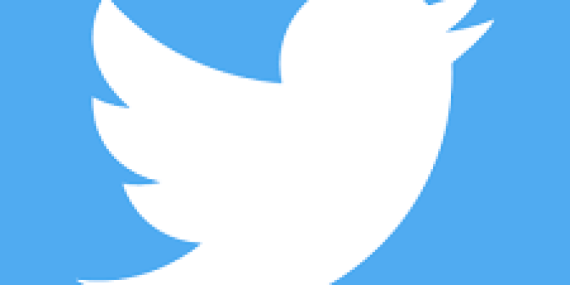 Twitter adopts limited-term shareholder rights