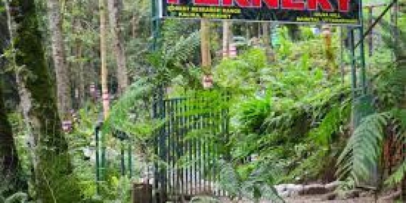 India’s largest open-air fernery inaugurated in Uttarakhand
