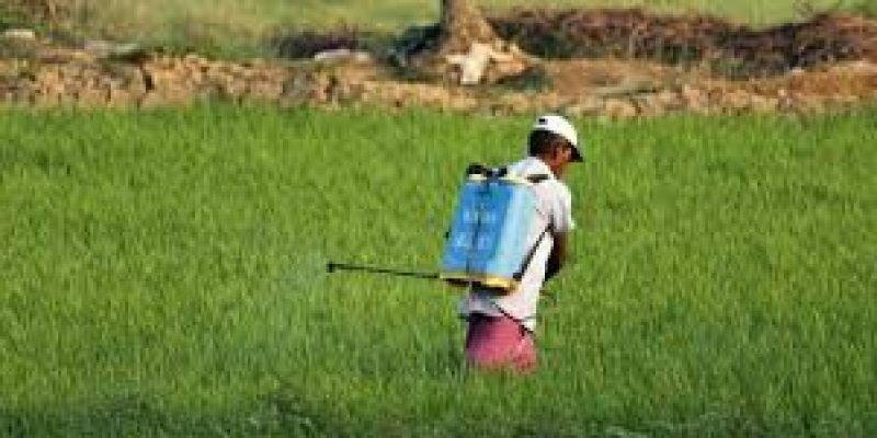 e-NAM Platform Expanded: 09 New Commodities Added