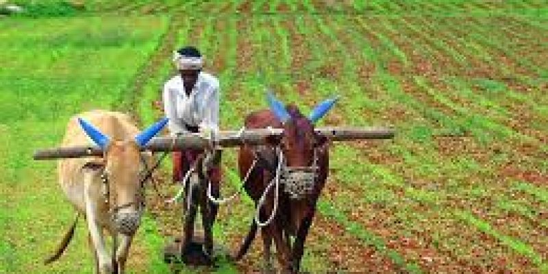 1.64 crore farmers have registered on e-NAM platform