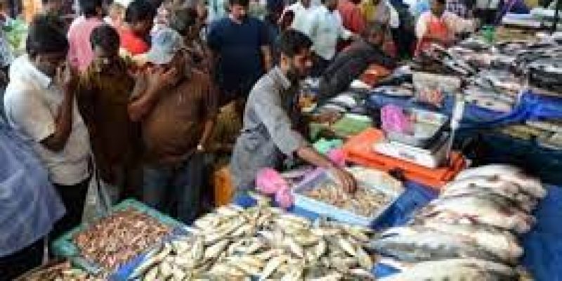 e-SANTA to connect aqua farmers and the buyers