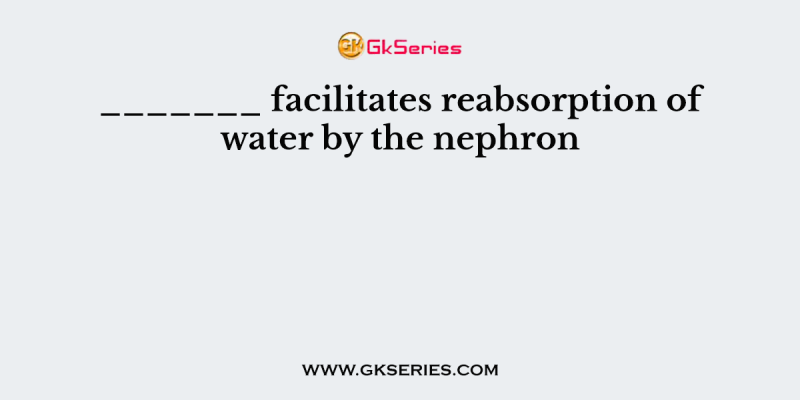 _______ facilitates reabsorption of water by the nephron
