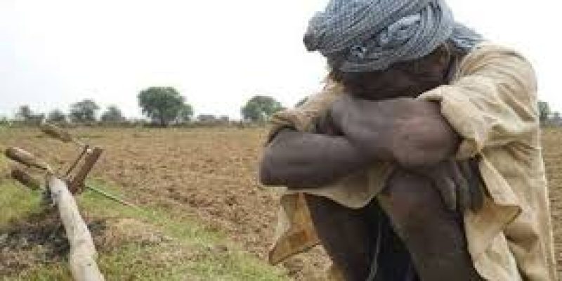 42,480 farmers and daily wagers committed suicide in 2019