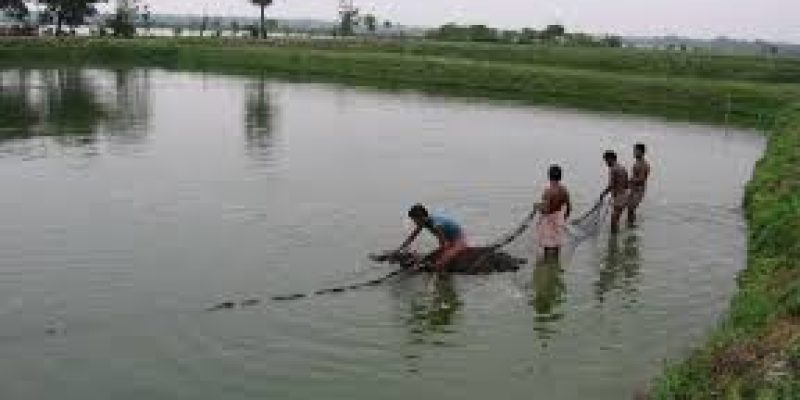 National Fish Farmers Day 2020